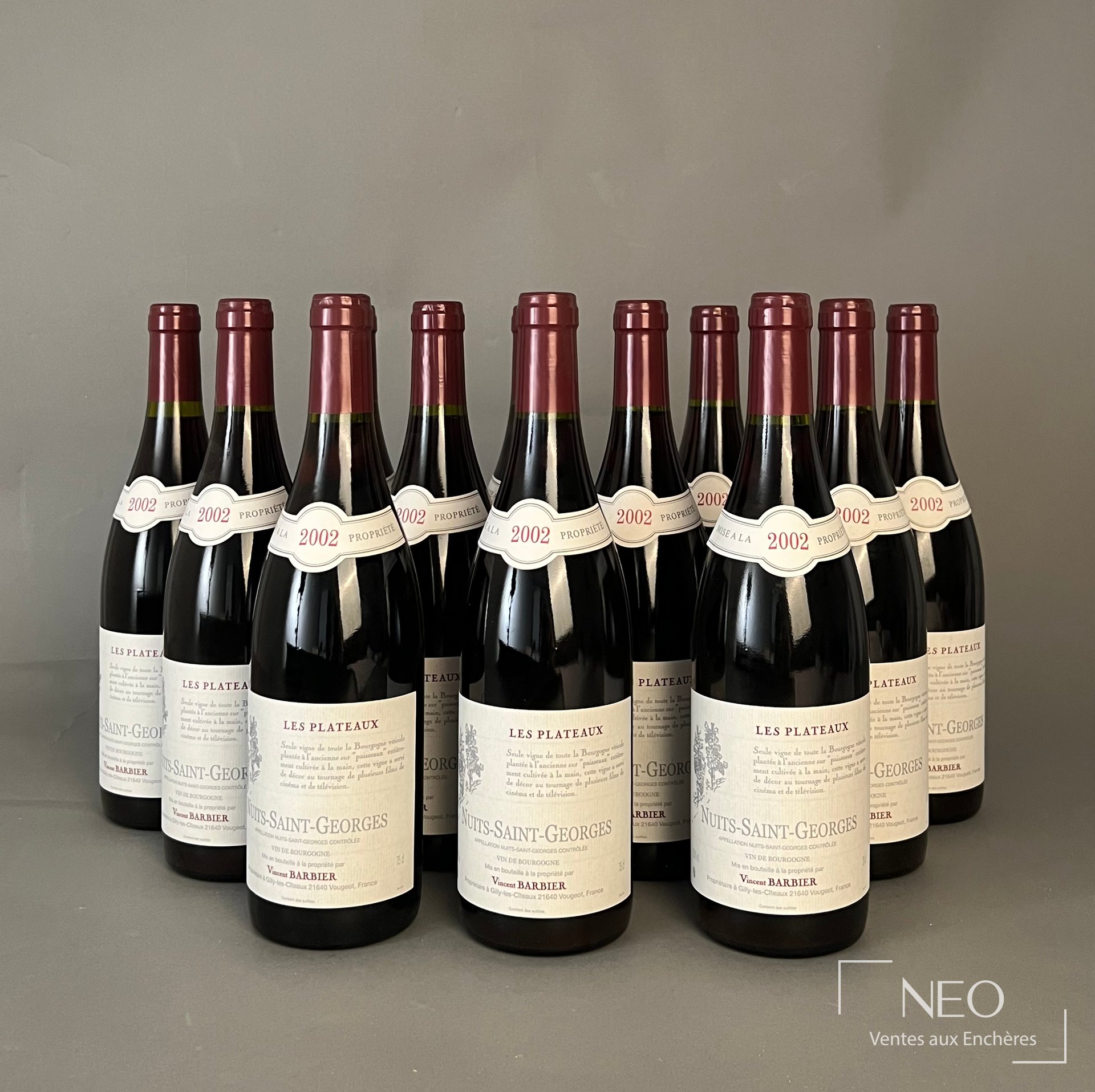 12 bouteilles Nuits-Saint-Georges Les Plateaux, Vincent Barbier, 2002