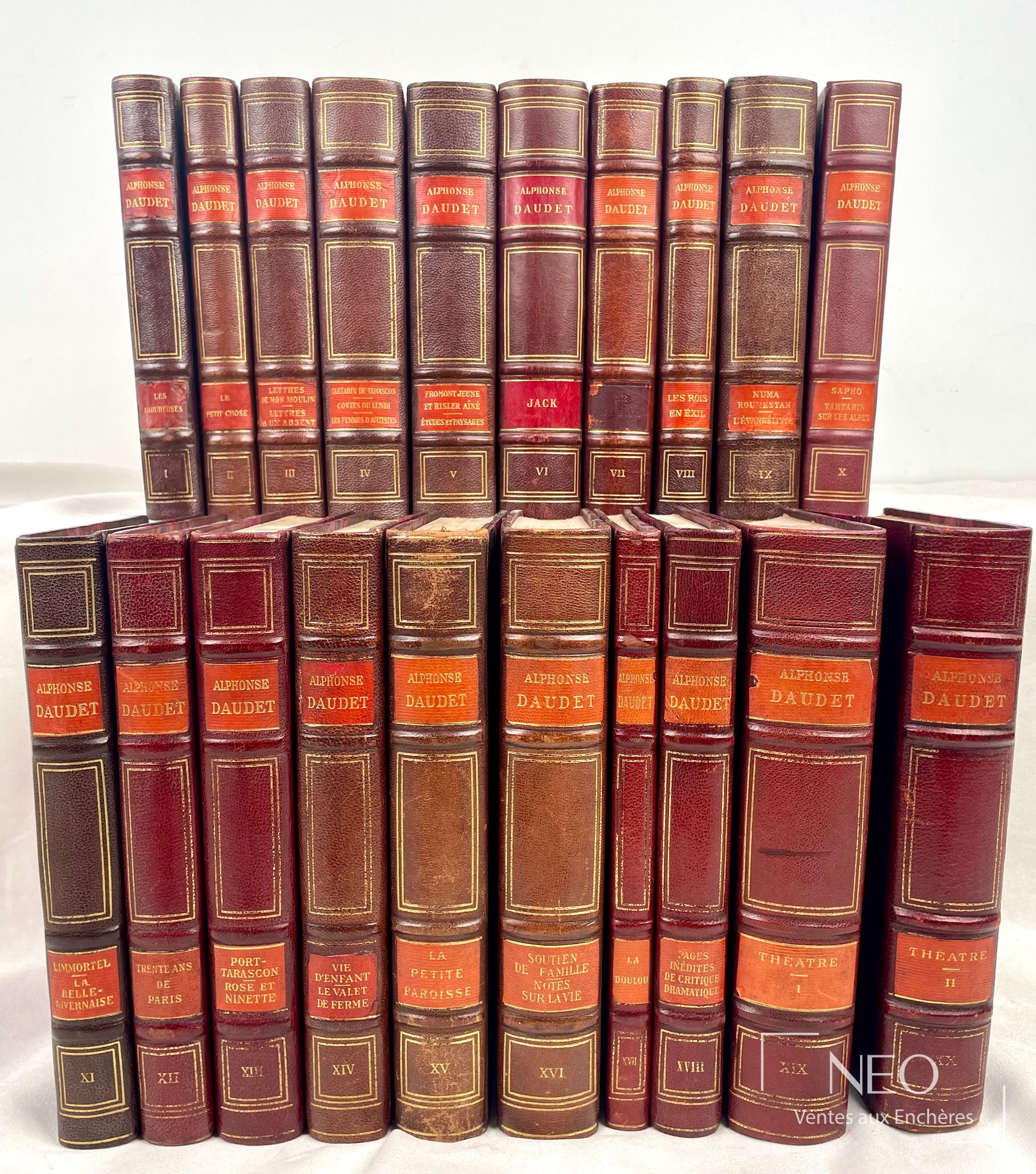 Vingt volumes reliés d’Alphonse Daudet alignés de face