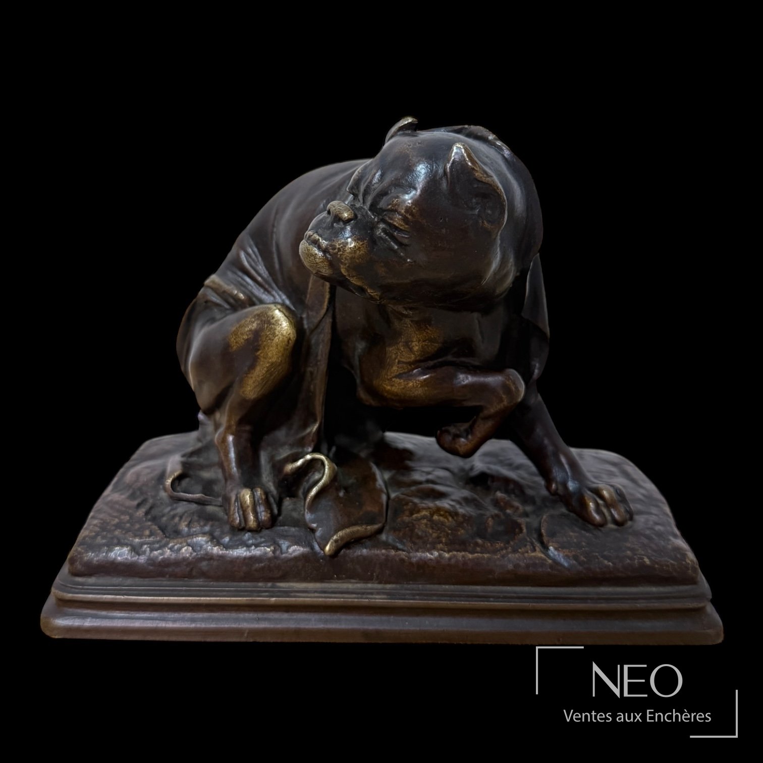 Bouledogue en bronze à patine sombre