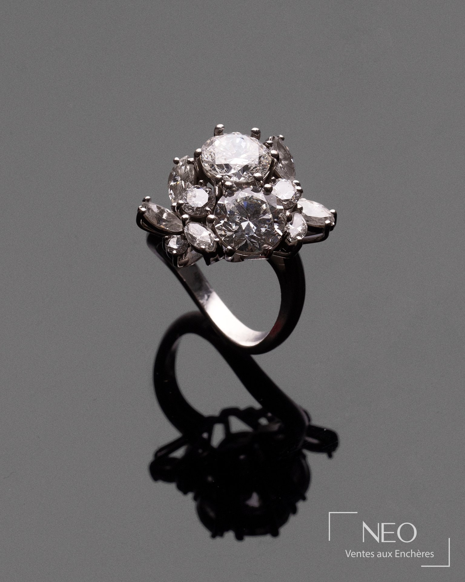 Bague en or gris 18 carats ornée de deux diamants et diamants d&rsquo;entourage