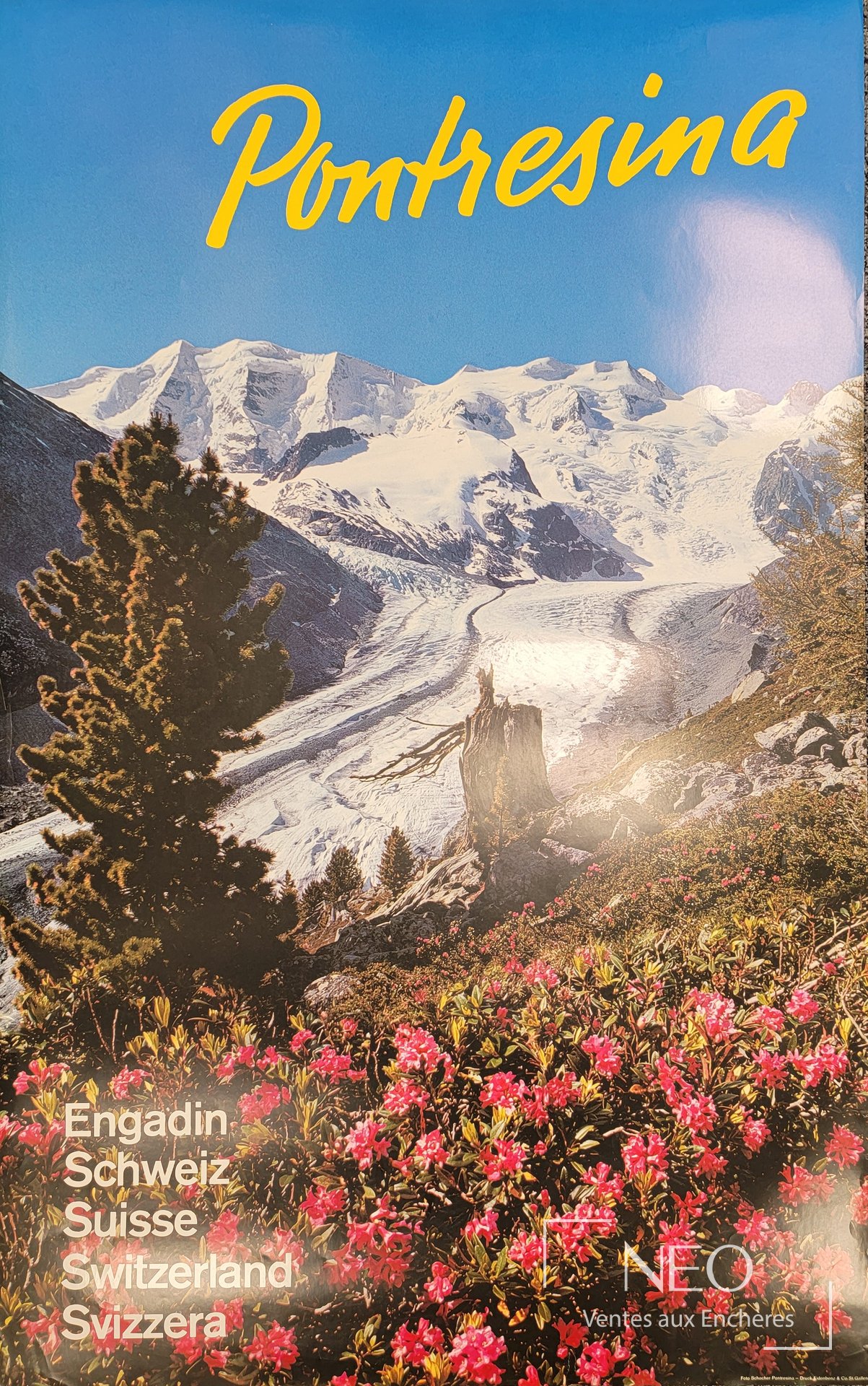 Affiche touristique Pontresina montrant un paysage de montagne enneigée et des fleurs roses.