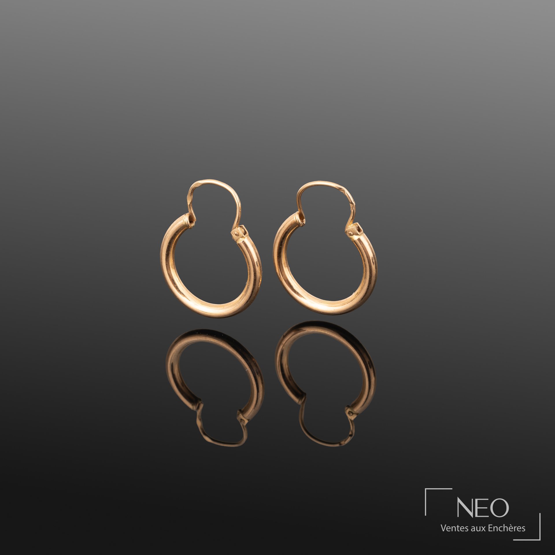 Boucles d&rsquo;oreilles créoles en or jaune 18K