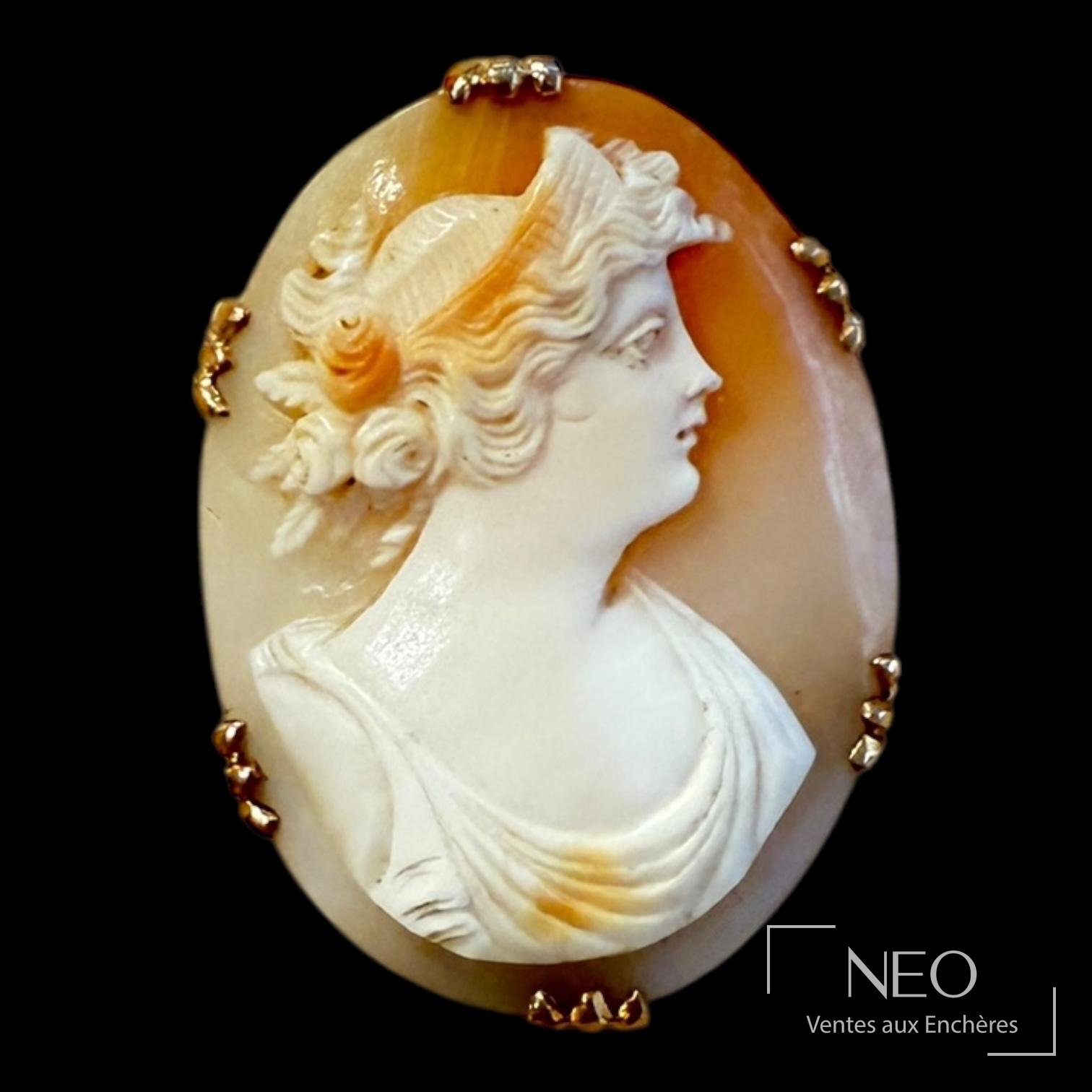 Broche en or jaune 18 carats camée sur coquille