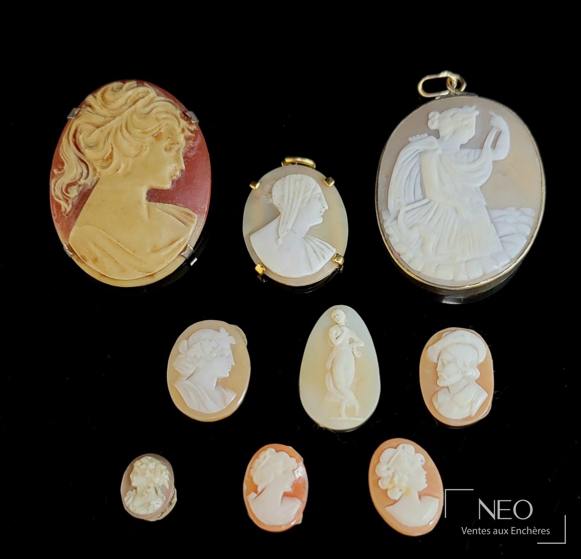 Ensemble de neuf camées coquilles à profils à l&rsquo;Antique