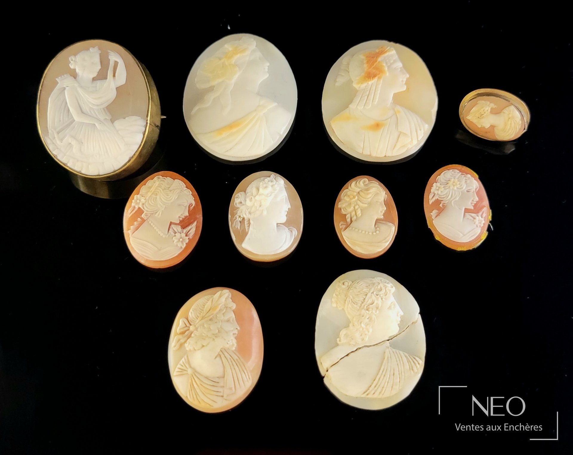 Ensemble de camées coquilles à profils à l’Antique