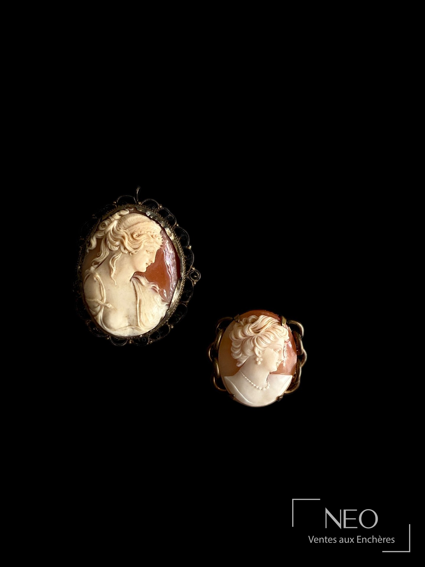 Lot de 2 camées sur coquillage montés en pendentif et broche