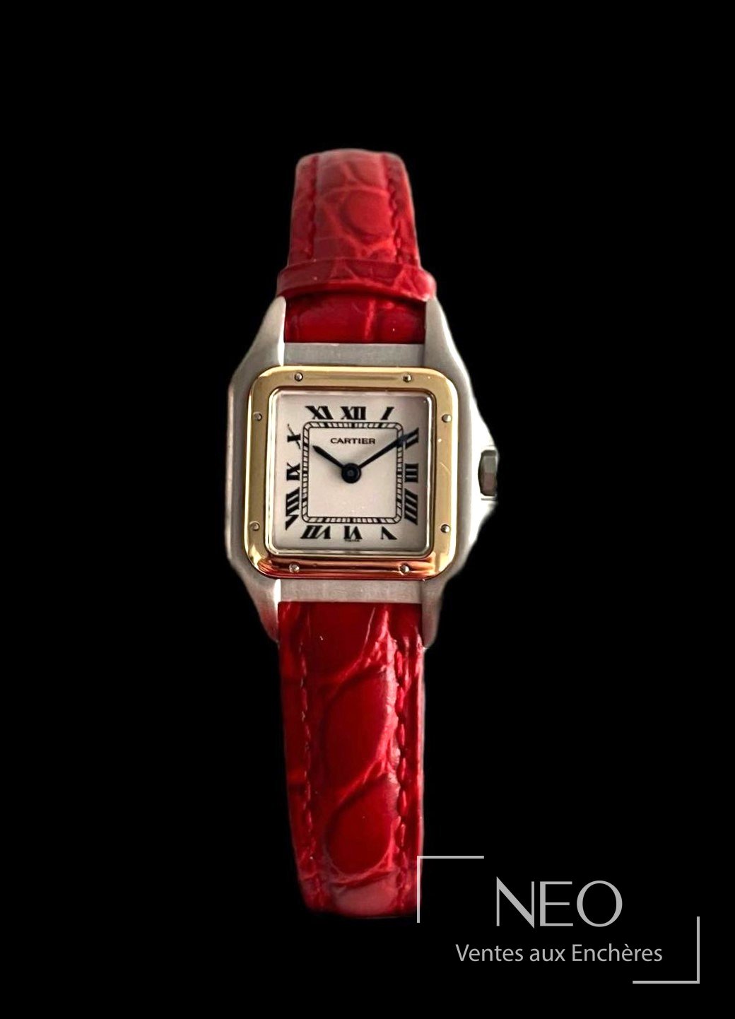 Cartier Panthère mini montre de dame en acier et or jaune 18K