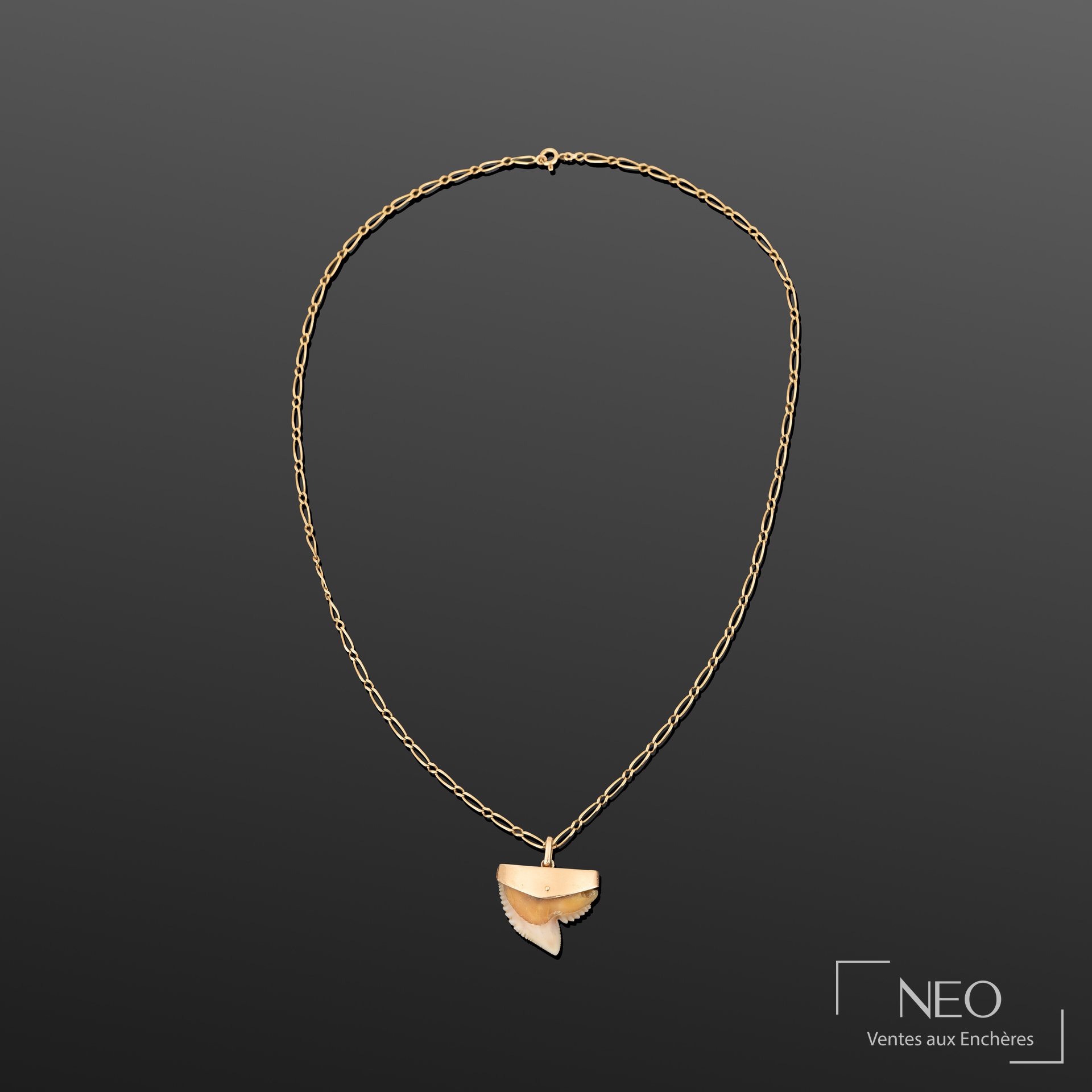 Chaîne de cou en or jaune 18K et pendentif dent