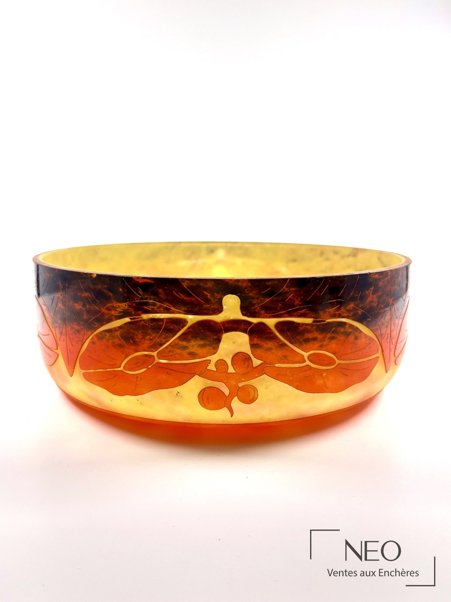 Charles Schneider pour Le Verre Français, grande coupe modèle Bégonias