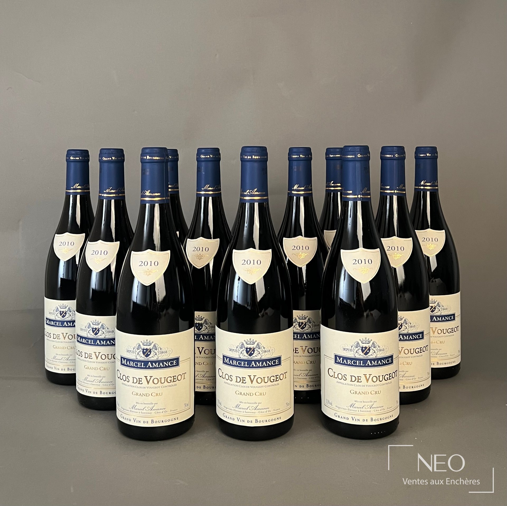Clos de Vougeot Grand Cru Marcel Amance 2010, 12 bouteilles