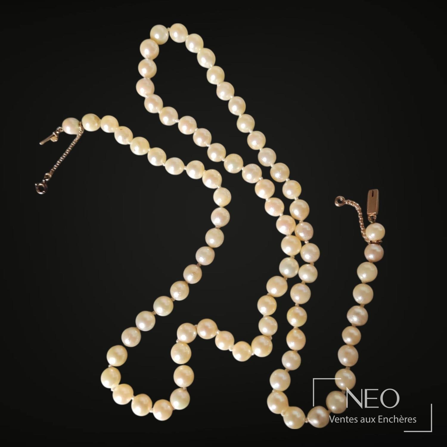 Collier choker de perles de culture blanches, fermoir en or jaune 18K