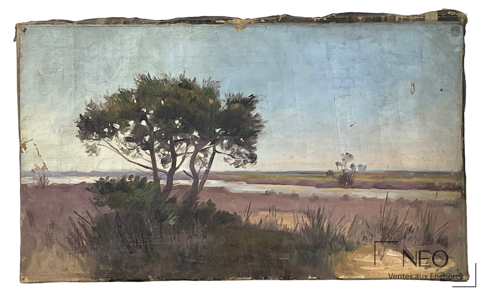 Delphin Enjolras attribué à, Paysage à l’arbuste – La Camargue, huile sur toile