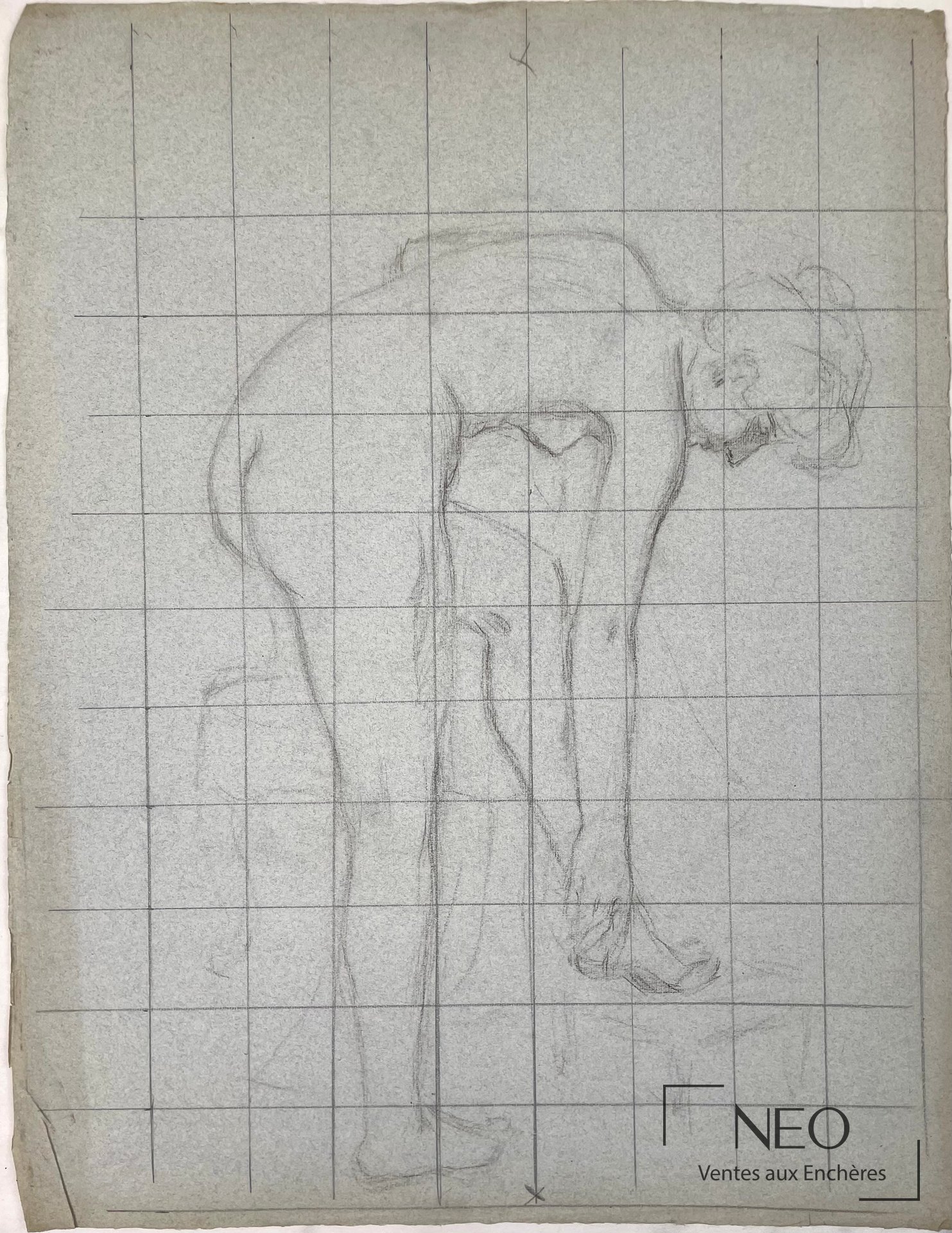 Attribué à Delphin Enjolras, étude de femme nue, pierre noire sur papier teinté