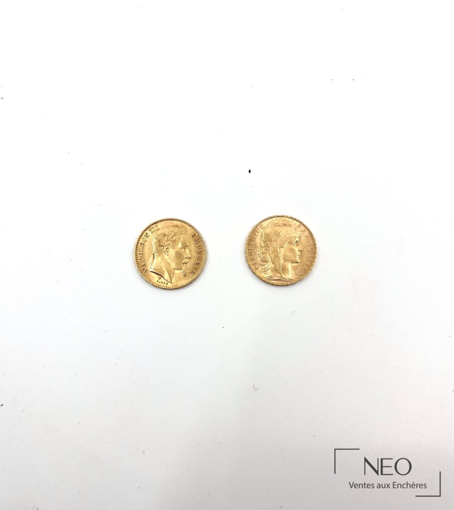 Deux pièces de 20 francs or vues côté portrait