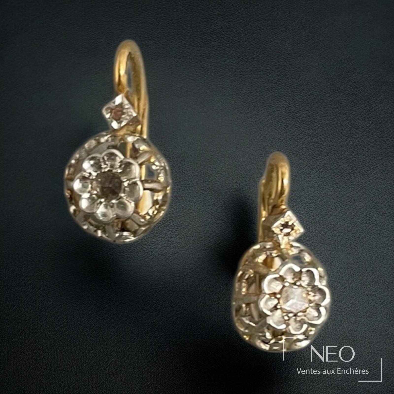 Paire de dormeuses en or jaune et gris 18 carats serties de pierres blanches