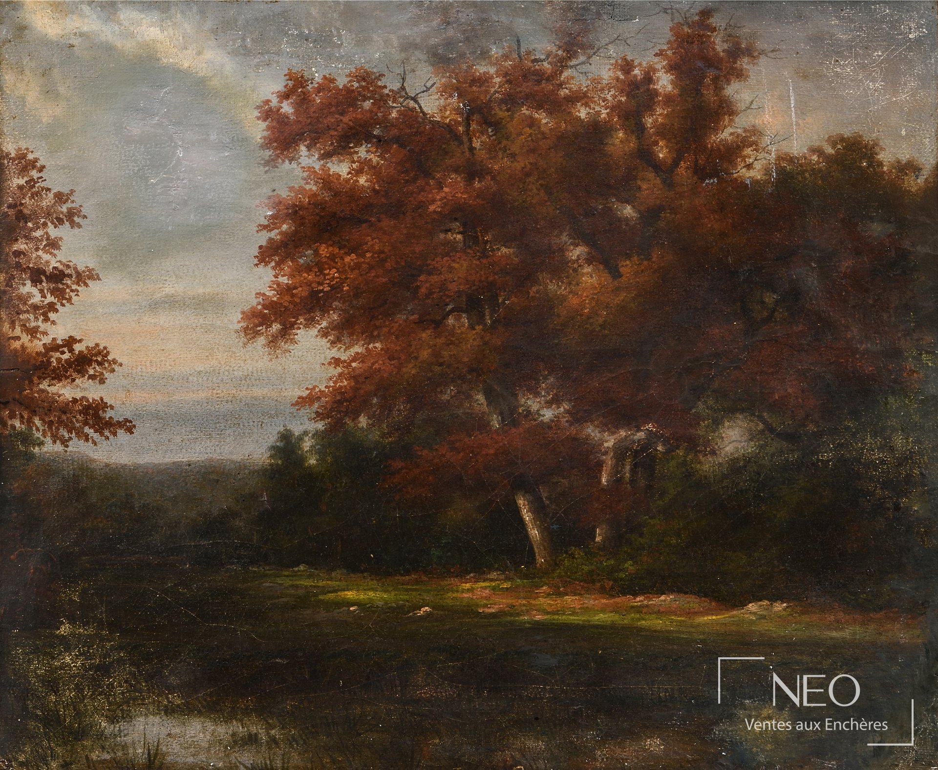 Paysage forestier à l’huile