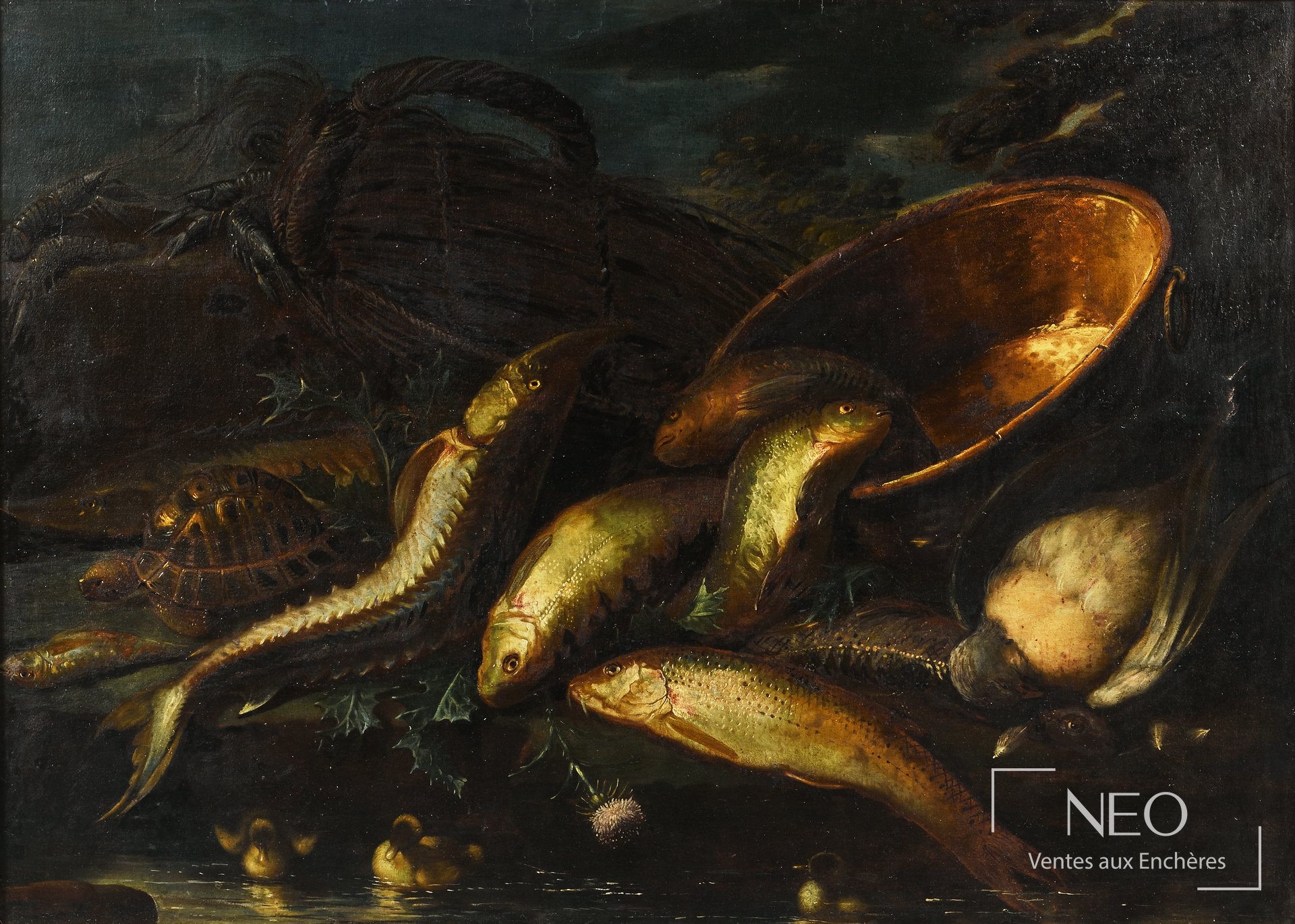 Nature morte de poissons et tortue près de l’eau