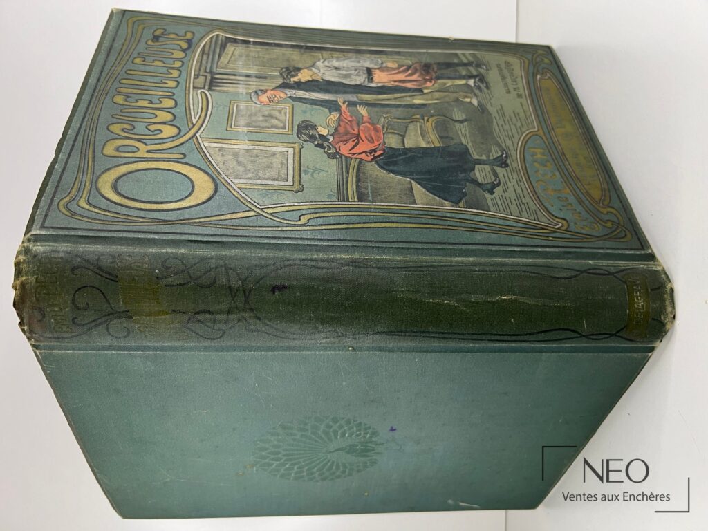 Couverture polychrome du livre Orgueilleuse d'Emile Pech