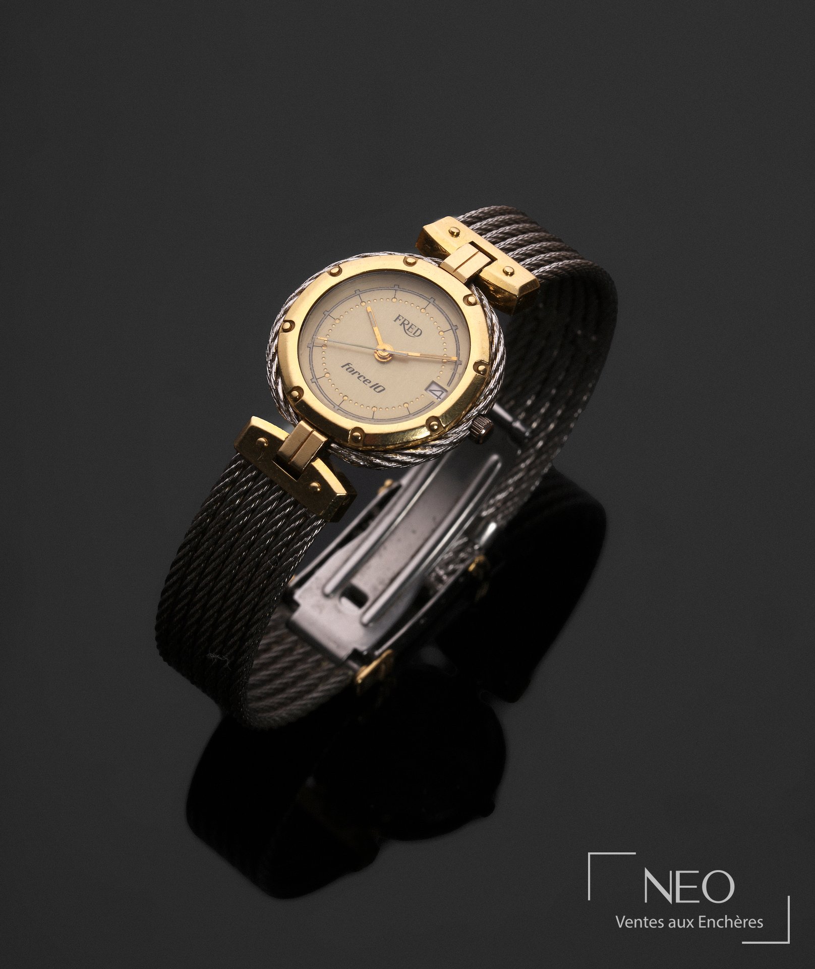 FRED Force 10 montre bracelet en acier et or jaune 18 carats
