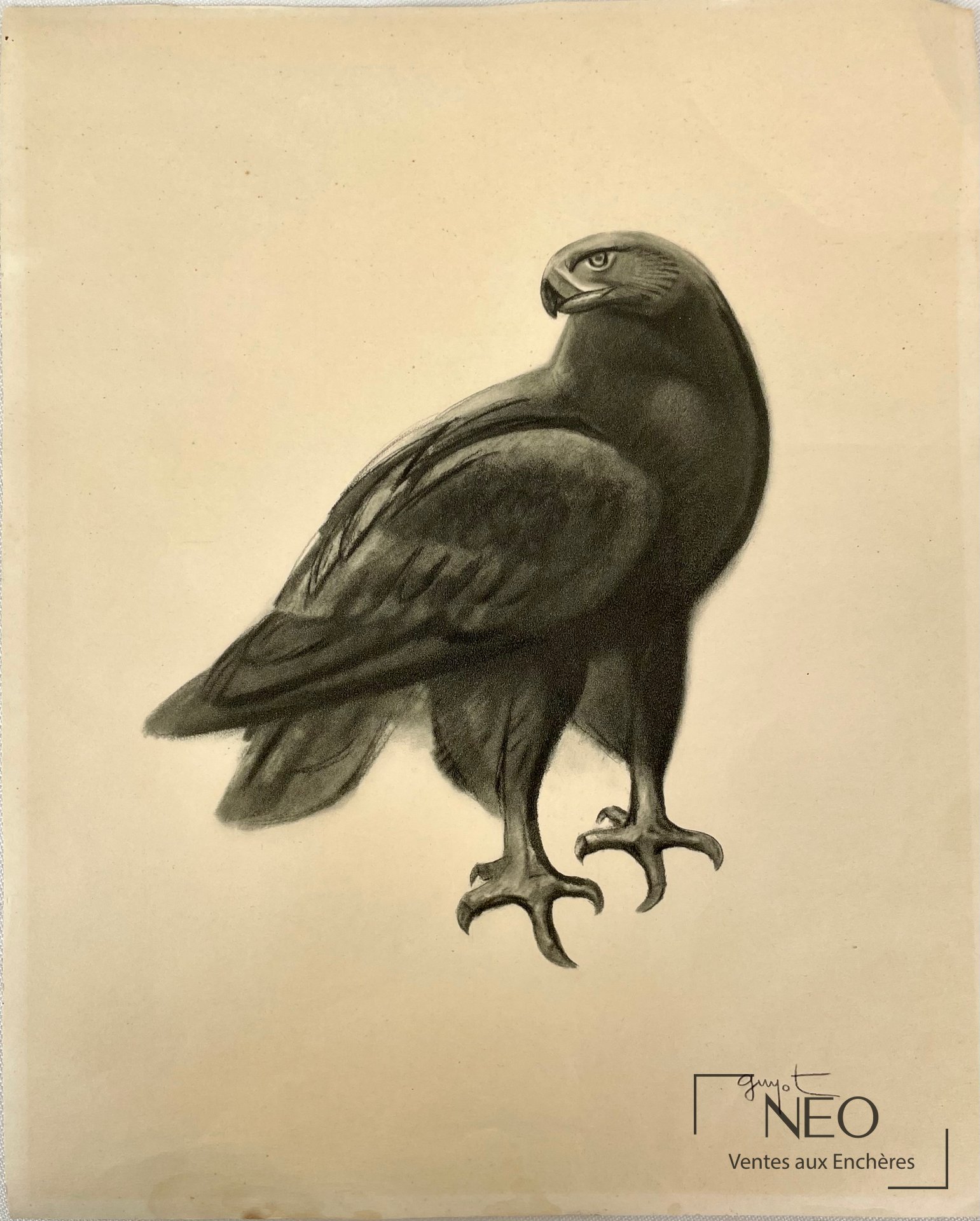 Georges Lucien Guyot d’après Aigle royal, impression sur papier signée