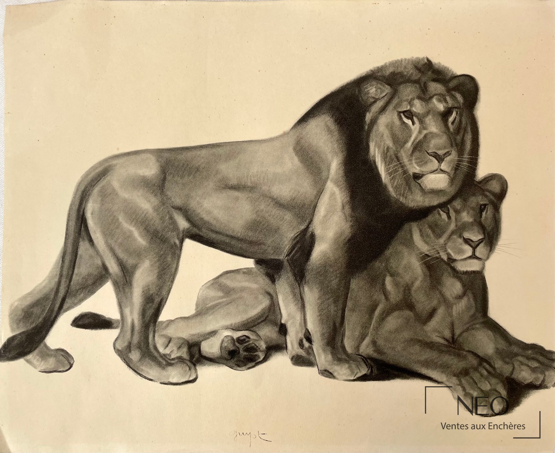 Georges Lucien Guyot d’après Lion et lionne, impressions sur papier