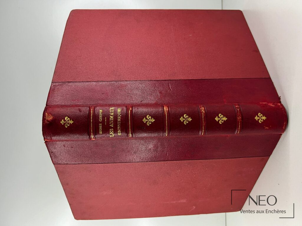 Dos en demi chagrin rouge avec nerfs et dorures sur le titre