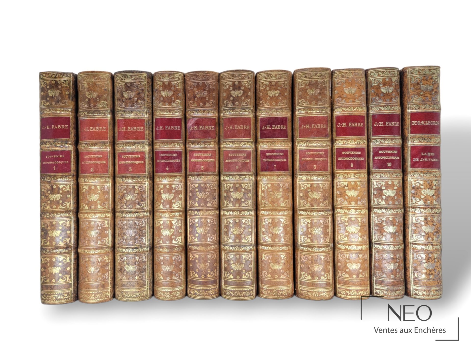 Jean-Henri Fabre, Souvenirs entomologiques et La vie de J.-H. Fabre