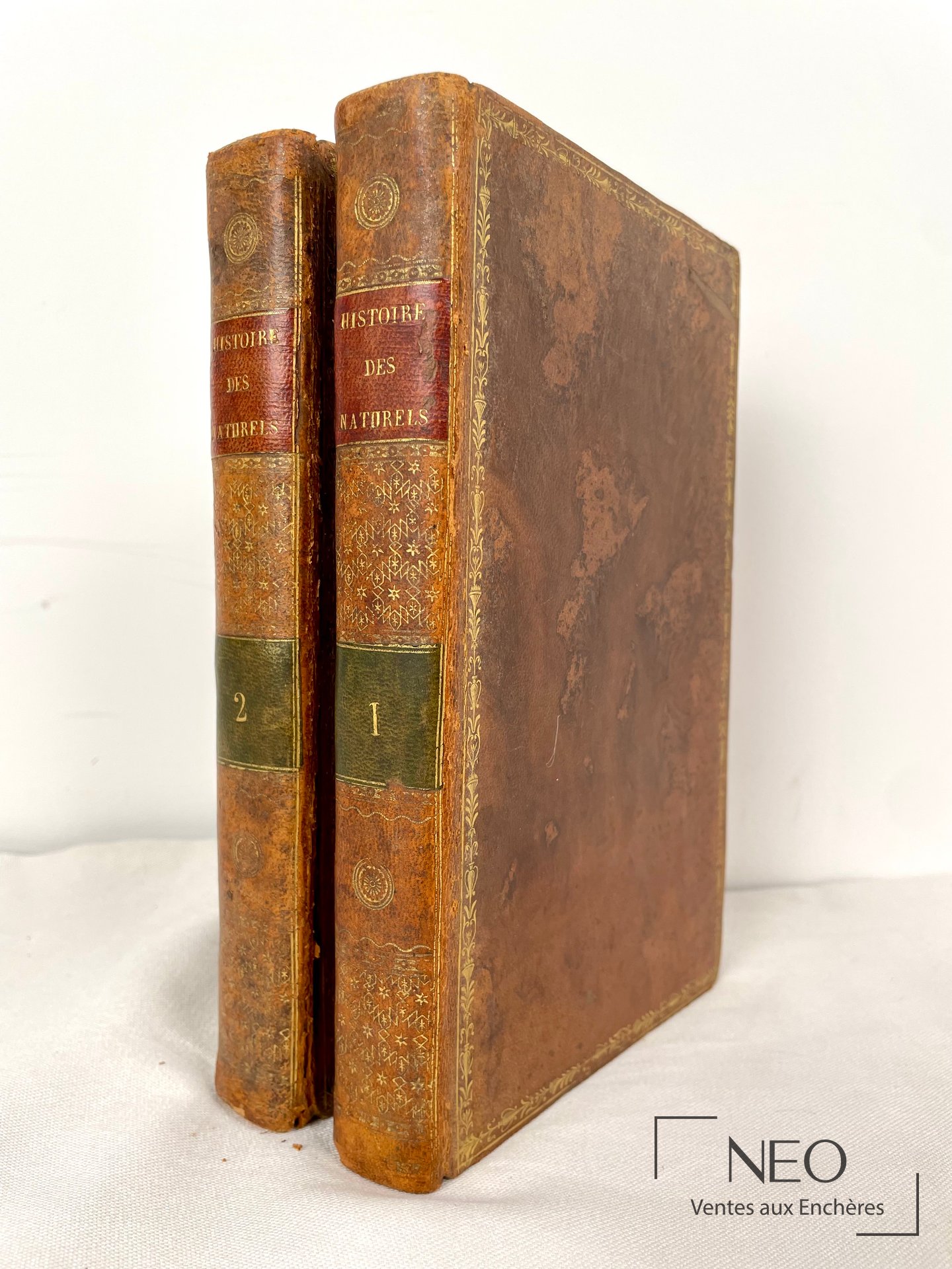 Histoire des naturels des îles Tonga ou des Amis de John Martin, 1817