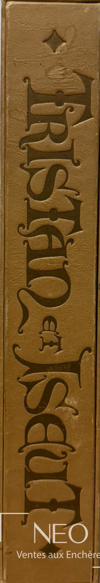 Dos de l’emboîtage titré Le roman de Tristan et Iseut