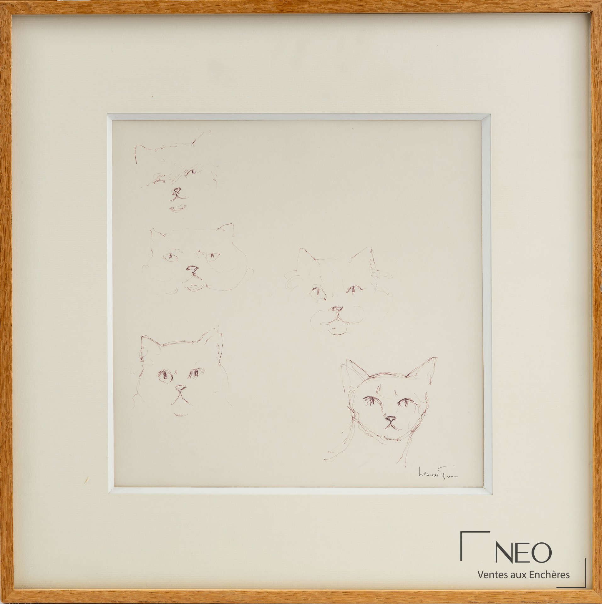 Dessin de cinq chats à l'encre de chine