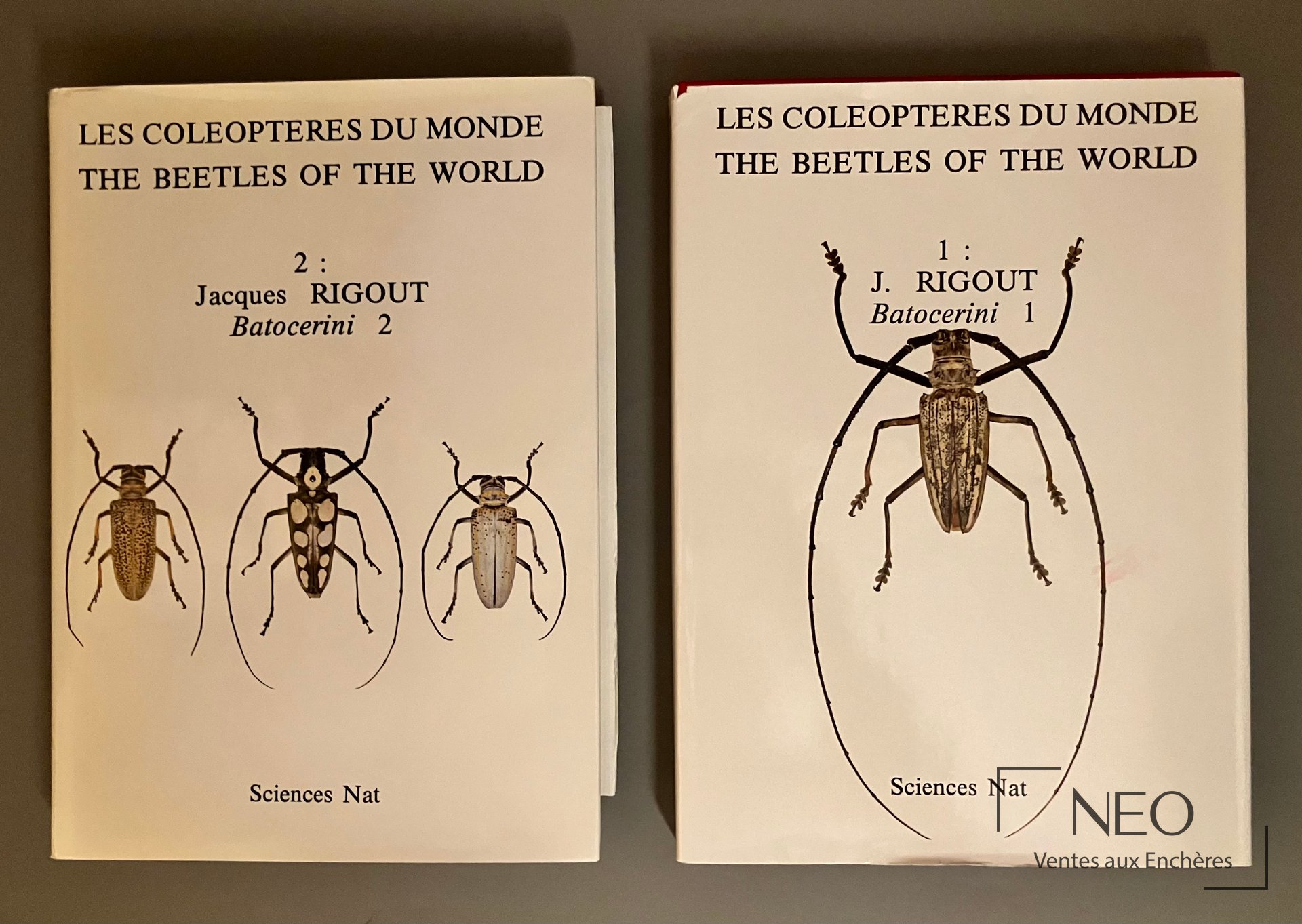 Les Coléoptères du Monde de Rigout, tomes 1 et 2