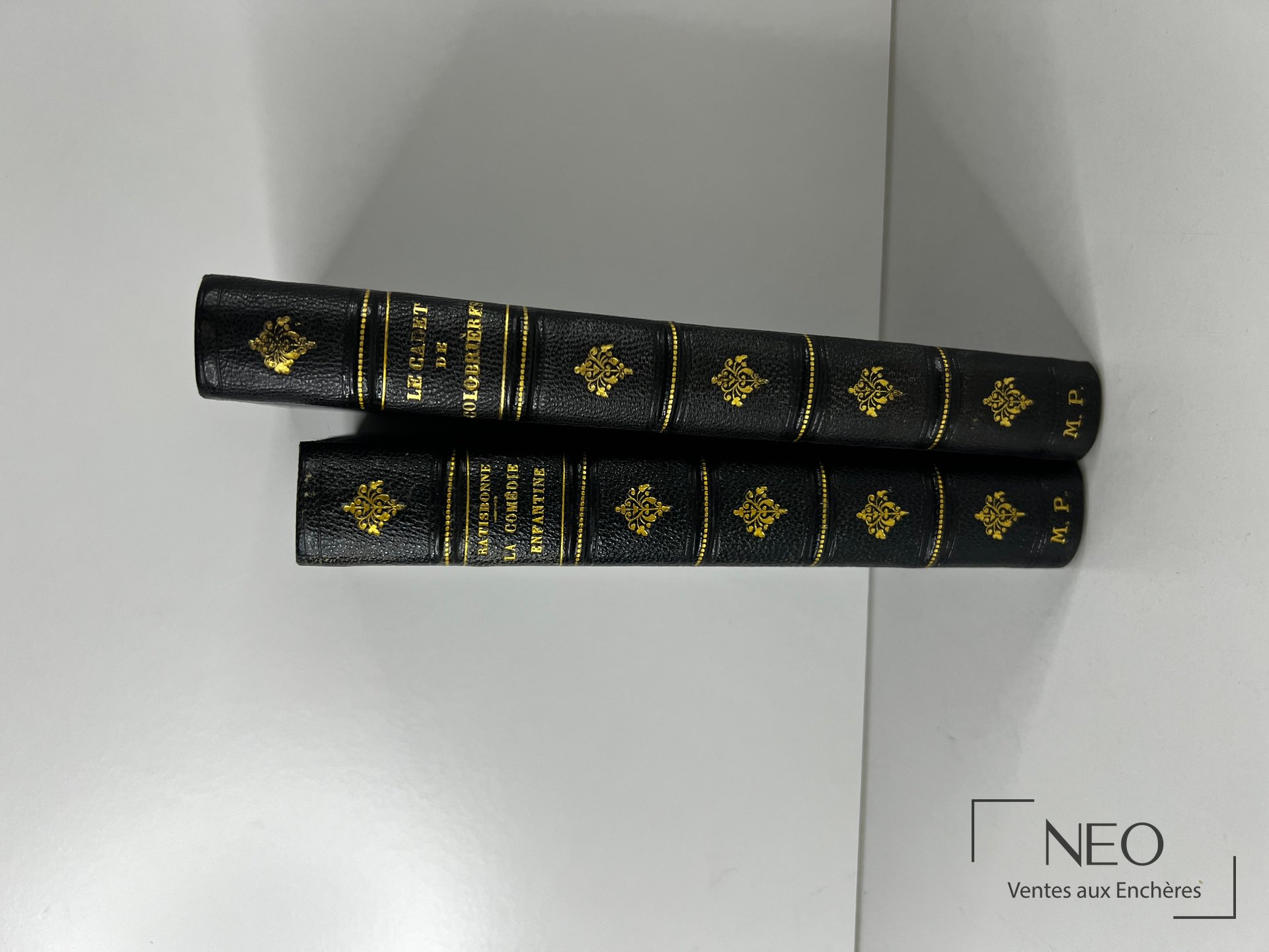 Deux livres reliés en demi chagrin bleu