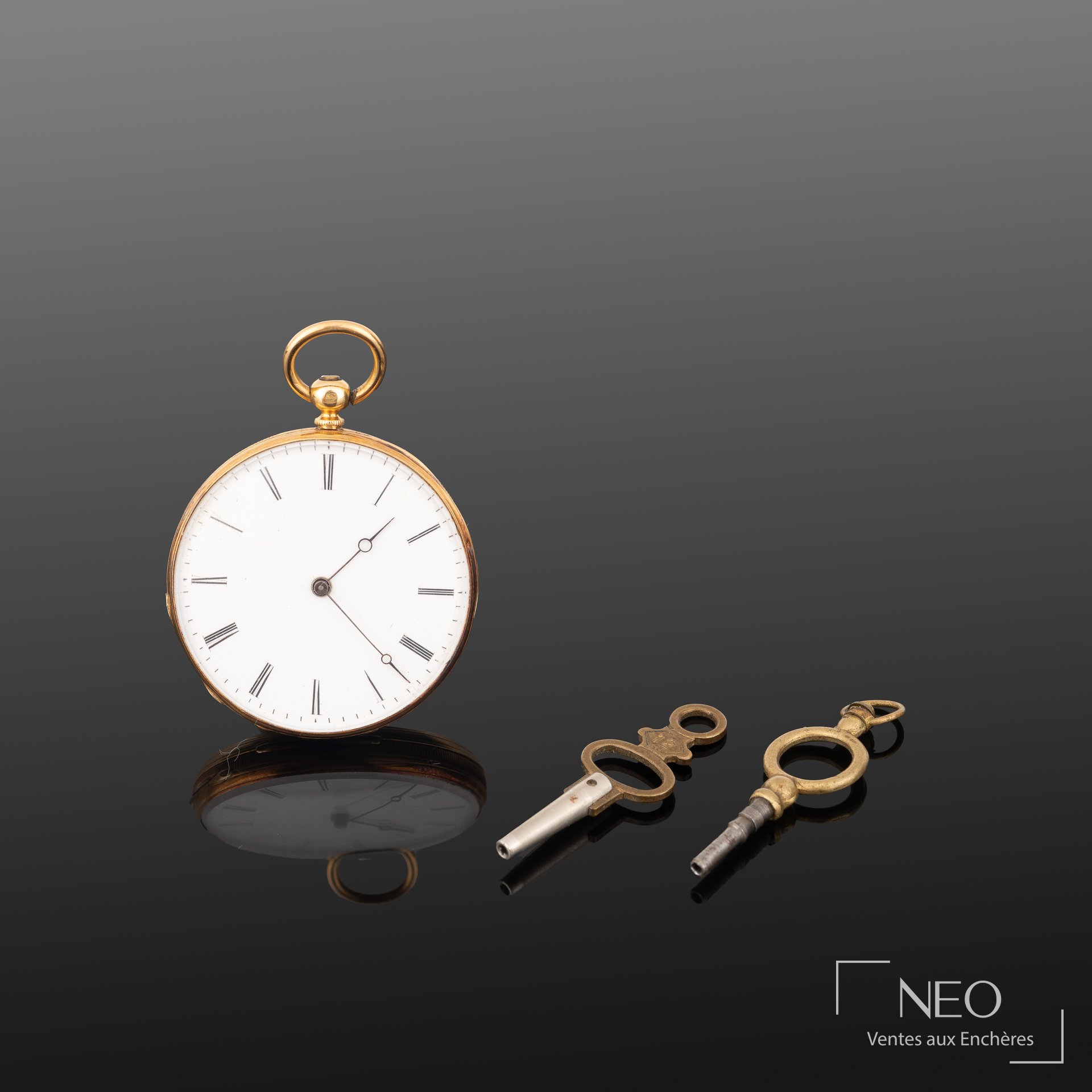 Montre à gousset en or jaune 18K, boîtier rond et cache-poussière