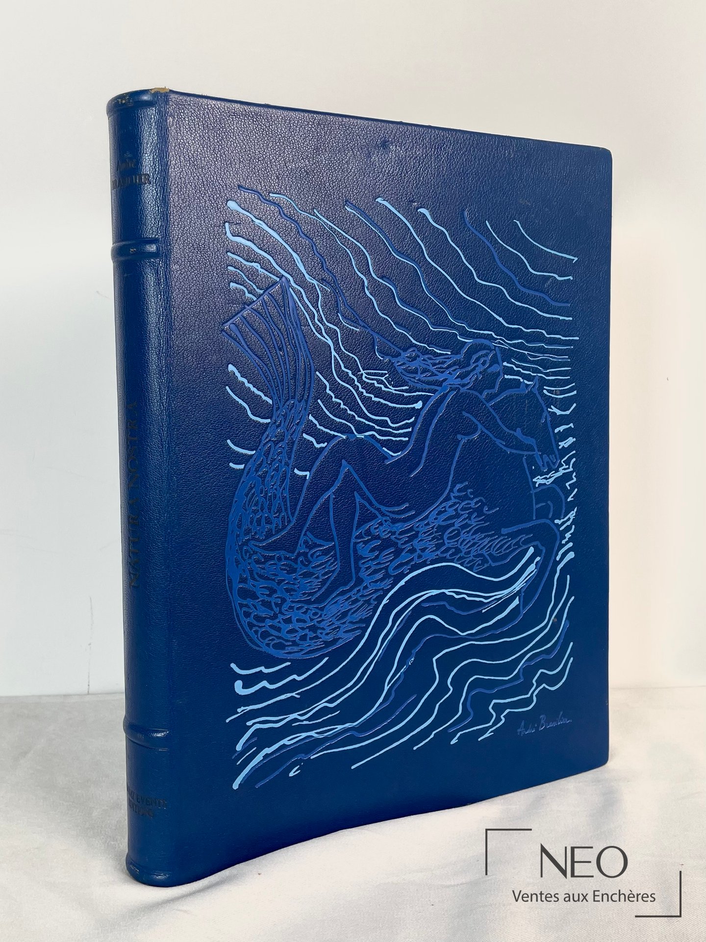 Natura Nostra, reliure d’art d’André Brasilier, 1987
