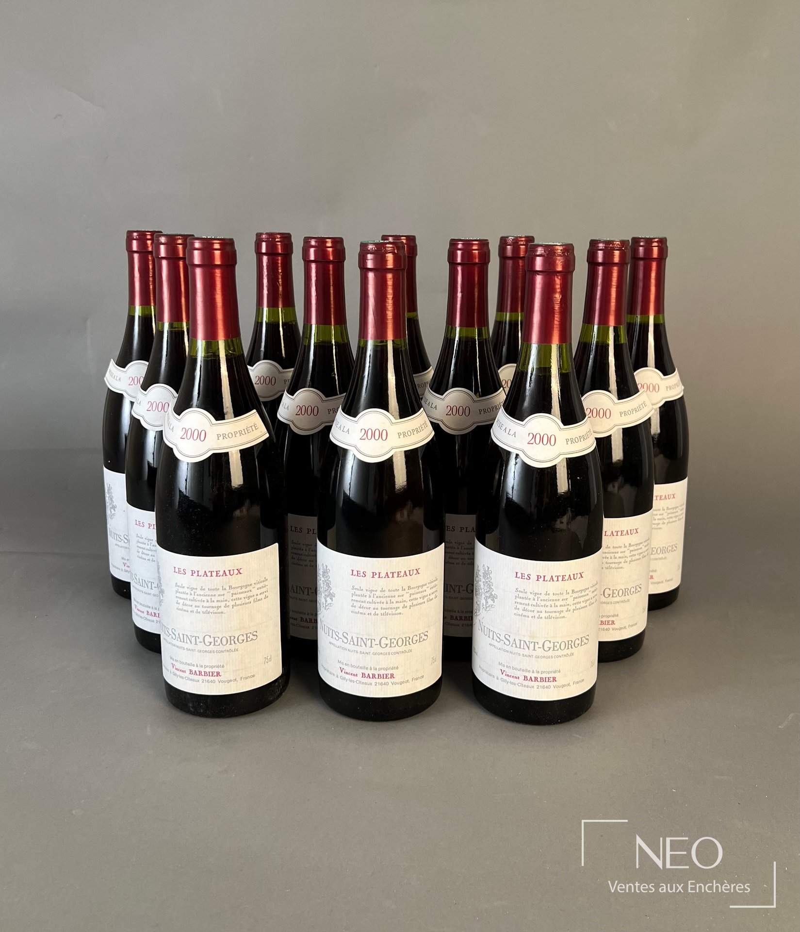 12 bouteilles Nuits-Saint-Georges Les Plateaux, Vincent Barbier, 2000