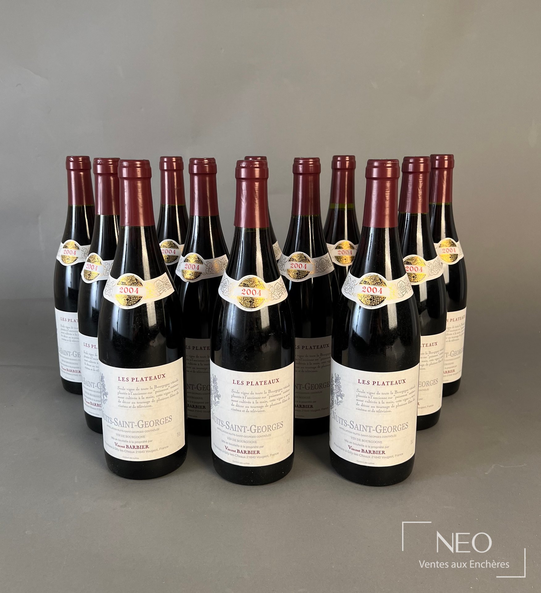 Nuits-Saint-Georges « Les Plateaux » de Vincent Barbier, 12 bouteilles, 2004