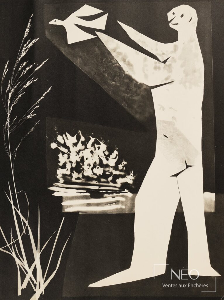 Phototypie de Pablo Picasso d'après L'homme à l'oiseau