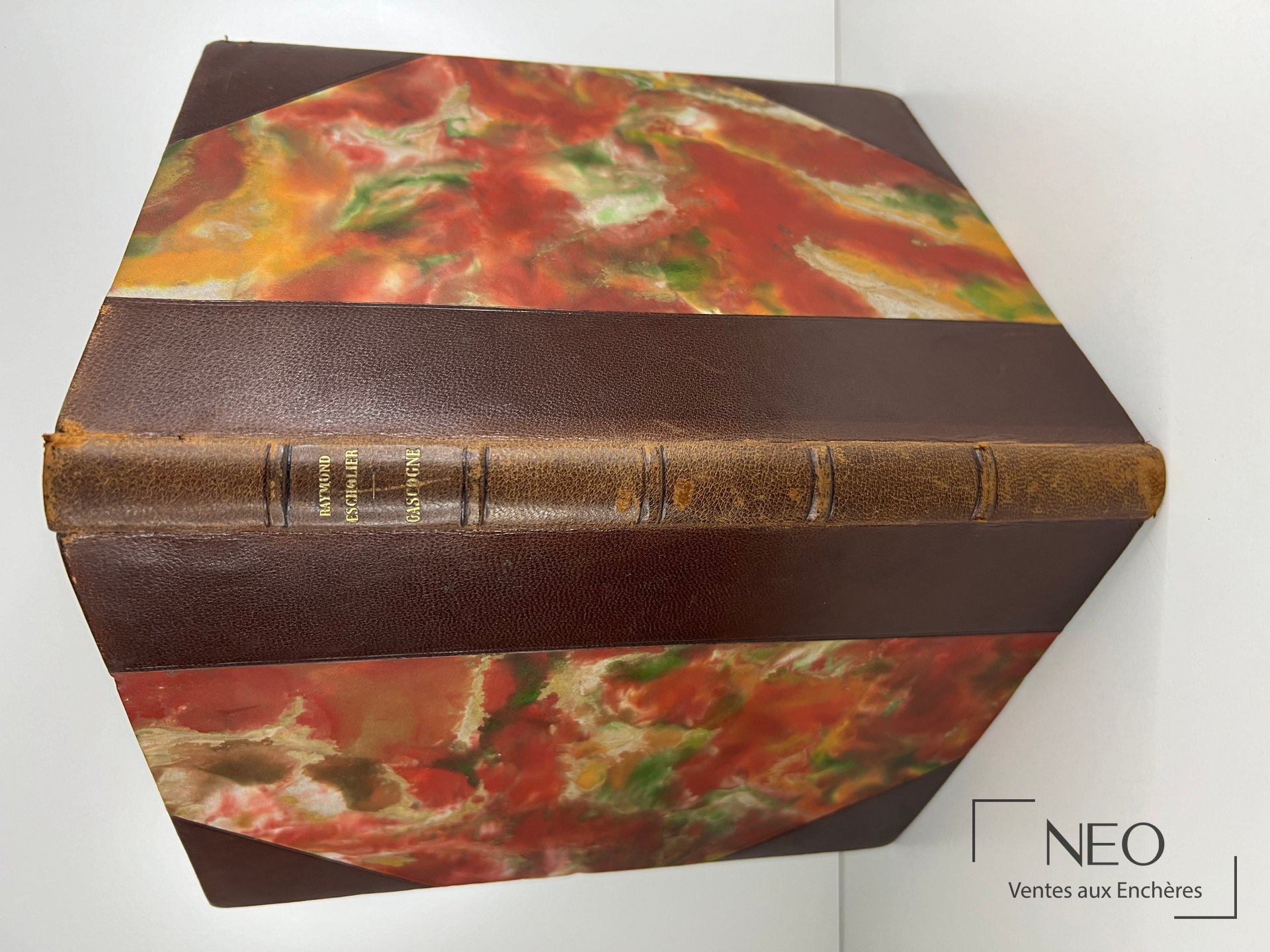 Dos en demi chagrin brun à nerfs avec titre doré du livre