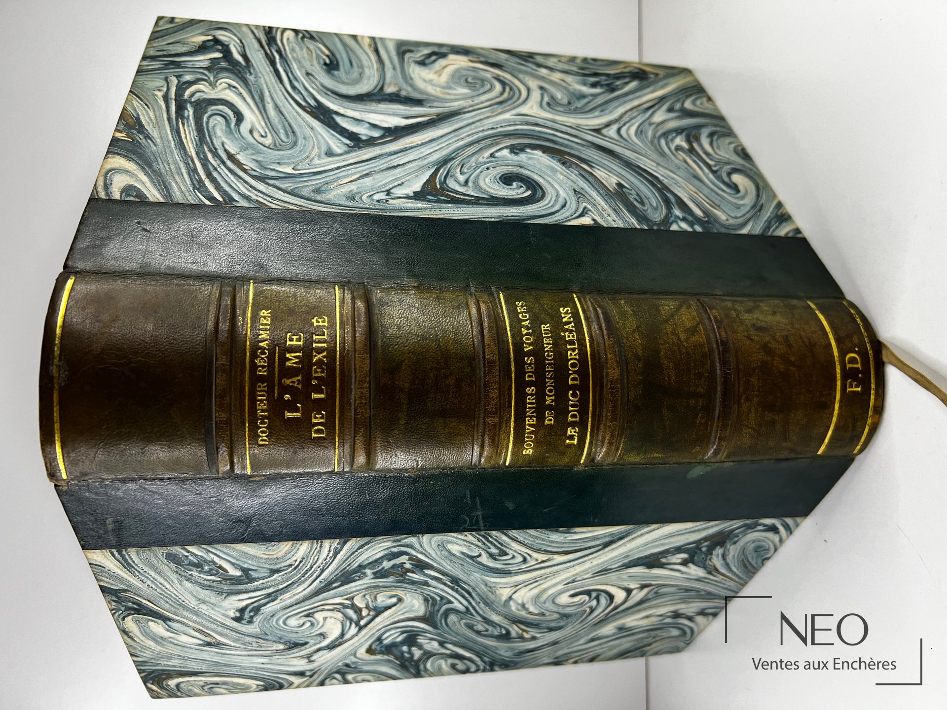 Recamier (Docteur), L&rsquo;âme de l&rsquo;exilé, Souvenirs des voyages de Monseigneur le Duc d&rsquo;Orléans