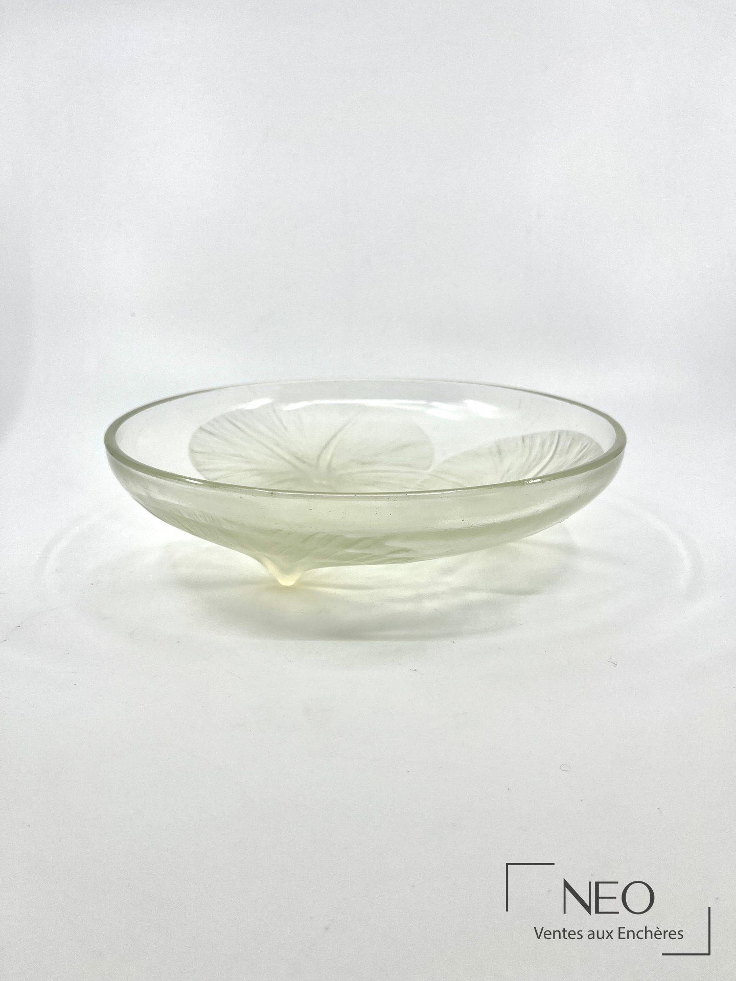Coupe en verre opalescent de René Lalique vue de profil