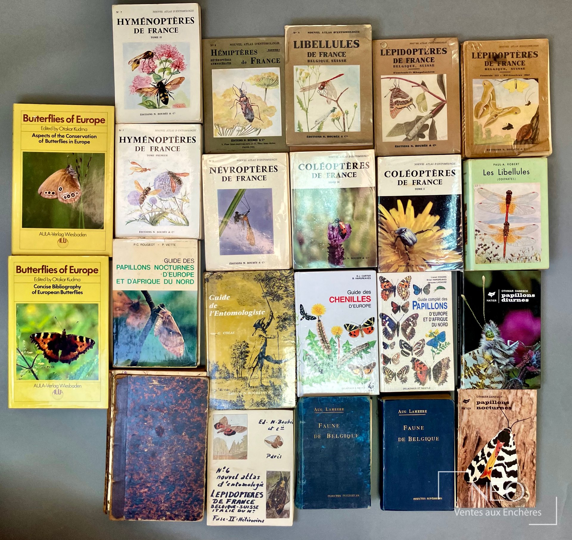 Seitz, atlas et ouvrages d’entomologie illustrés
