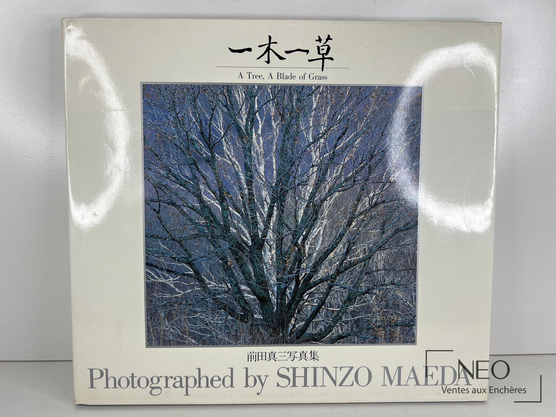 Couverture d'un livre photo de Shinzo Maeda avec arbre en pleine page