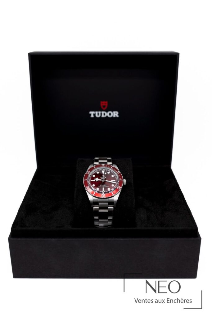 Montre Tudor Black Bay 58 en acier