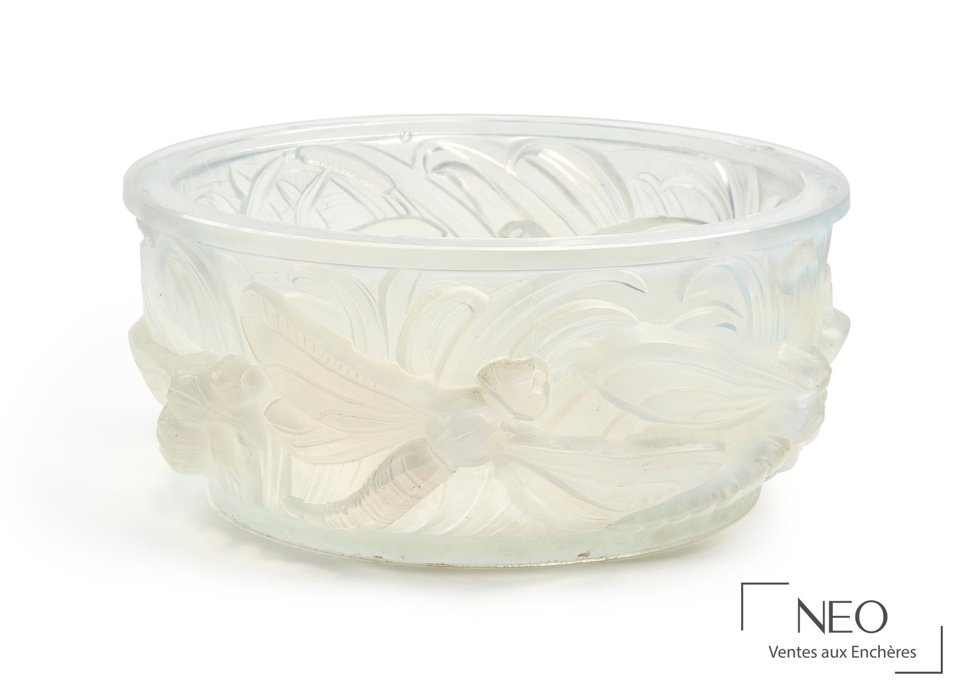Verlys France coupe aux libellules en verre opalescent