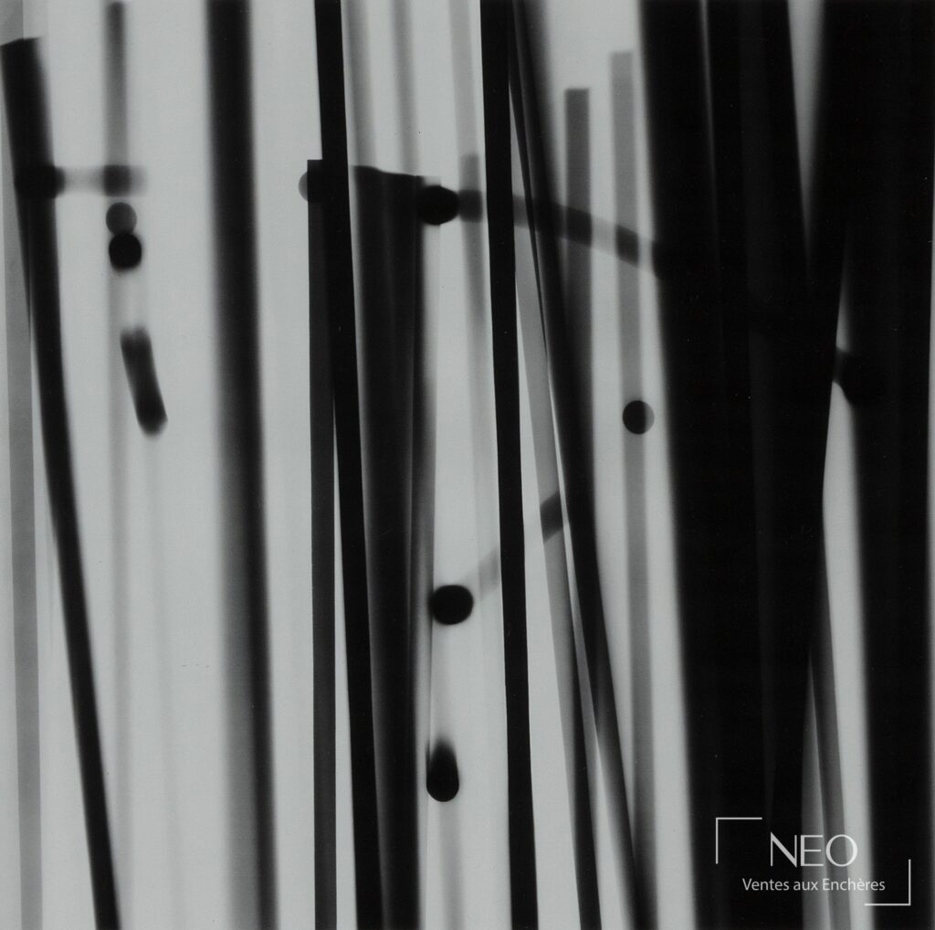 Photographie abstraite en noir et blanc aux bandes verticales