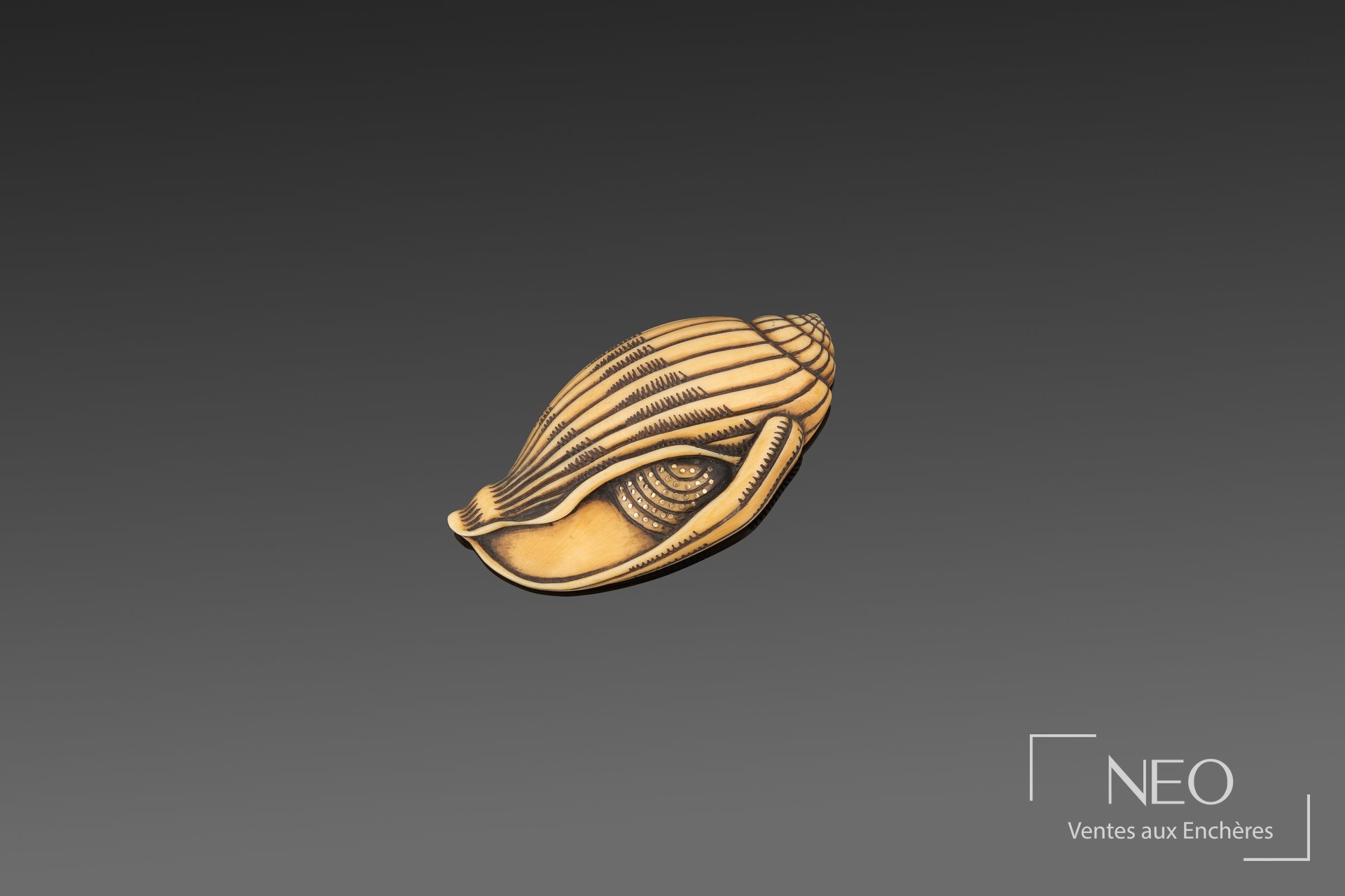 Broche en ivoire d'hippopotame sculptée en forme de coquillage